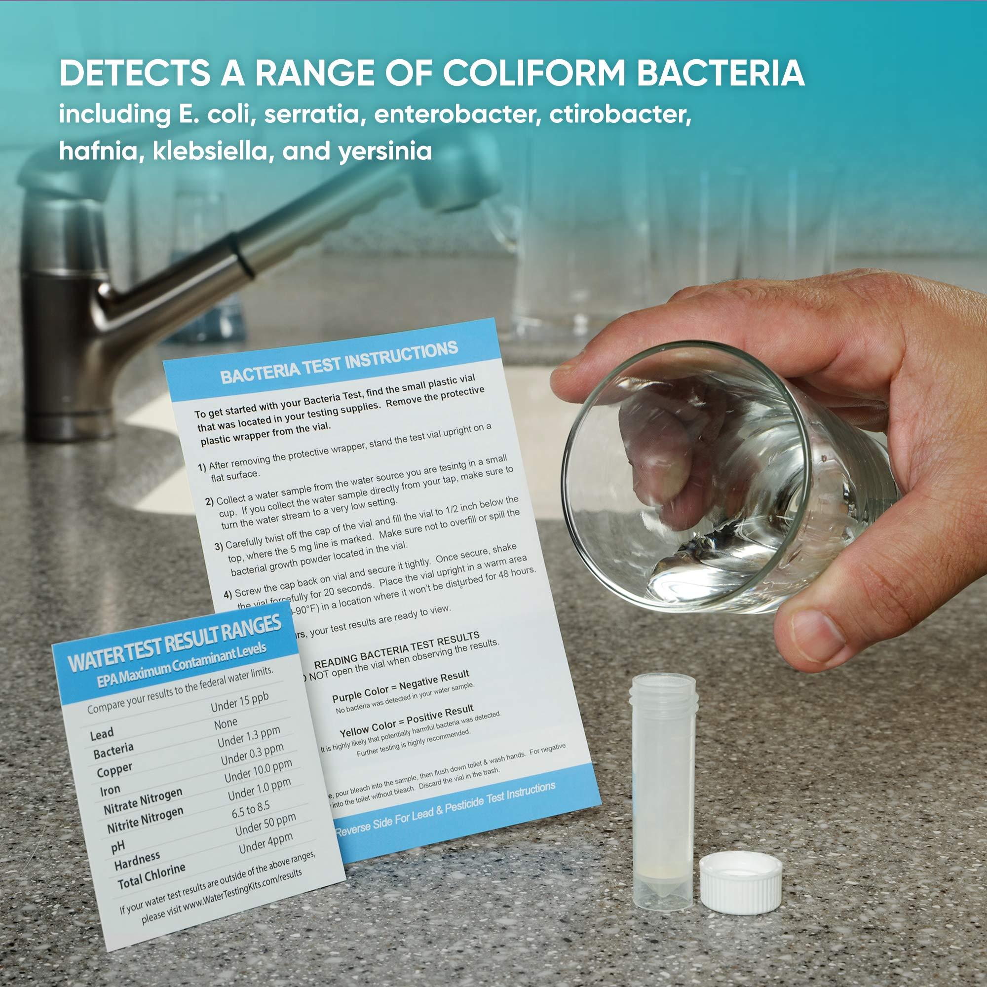 Drinking Water Test Kit 10 Minute Testing For Lead Bacteria Pesticide Iron 806800159319 eBay